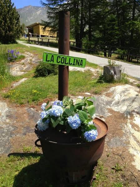 Hotel La Collina Saas Fee Dış mekan fotoğraf